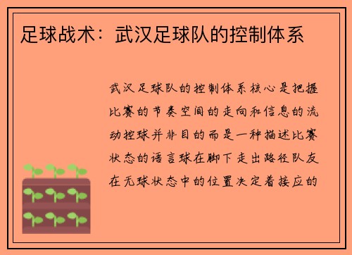 足球战术：武汉足球队的控制体系